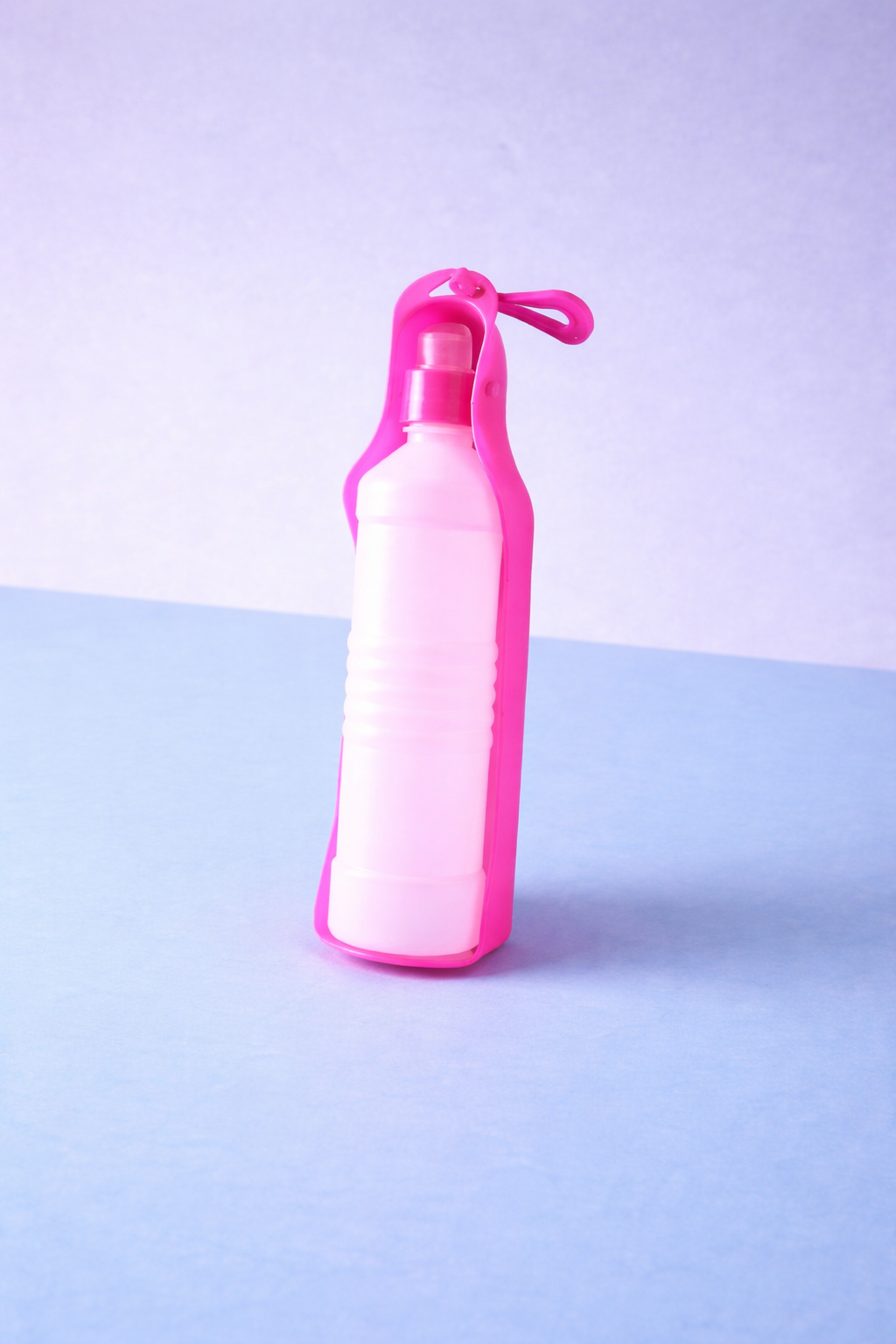 PORTABLE PET WATER BOTTLE